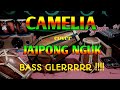 CAMELIA cover jaipong jepara an