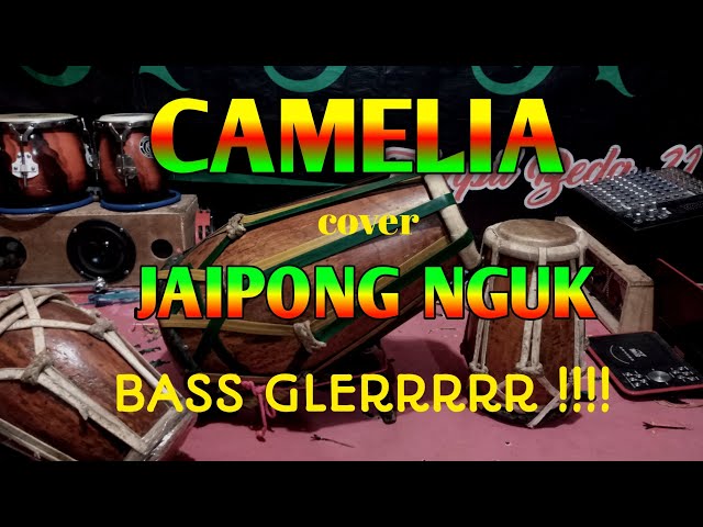 CAMELIA cover jaipong jepara an class=