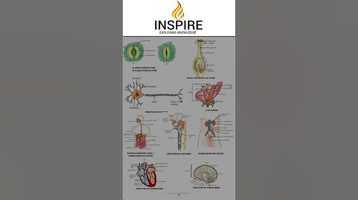 SSLC Science Important Questions 2025 #coachingcenter #inspireknowledge #inspire