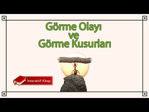 AYT Biyoloji | Görme Olayı ve Görme Kusurları #sayfa42