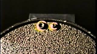 Collimation of Newtonian Telescope Part 2