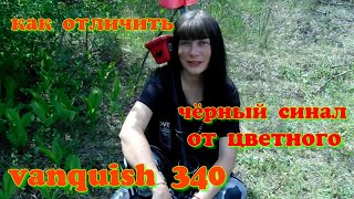 : MINELAB VANQUISH 340   ר        