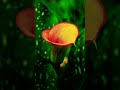 Te livra do orgulho e arrogância #motivational #fé