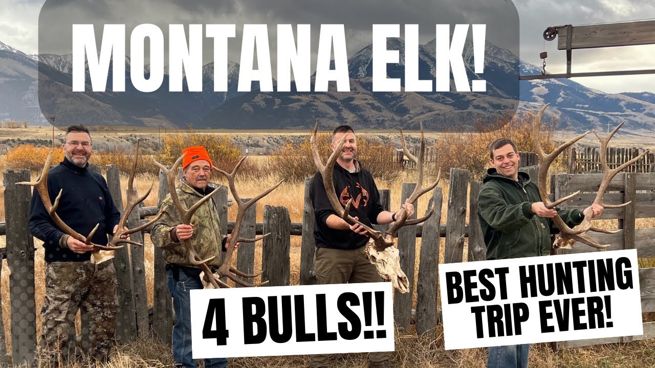2022 Montana Elk Hunt YouTube