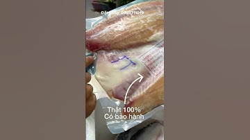 (VOVE.COM.VN) Khô cá dứa 1 nắng Cần Giờ, cam kết thật 100%, có bảo hành, hút chân không, SHIP nhanh