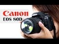 Review : เผยจุดเด่นกล้อง Canon EOS 80D ตอบสนองทุกการถ่ายภาพ