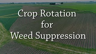 Crop Rotation for Weed Suppression  Organic Weed Control