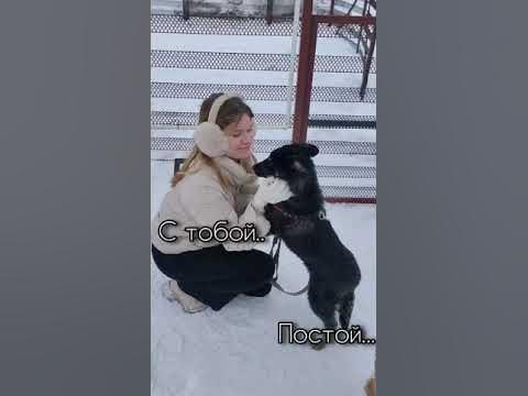 Приют Ласка, г.Барнаул - YouTube