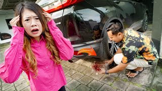 Prank Zainal Gak Sengaja Lindes Pam Pam Kucing Dia Langsung Kaget