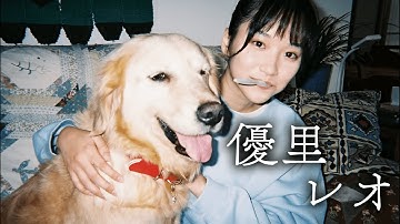 【中日歌詞】優里 - 「レオ」『  Leo 』《純粹中翻》