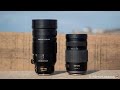 In-Depth Panasonic 100-400mm vs 100-300mm Comparison