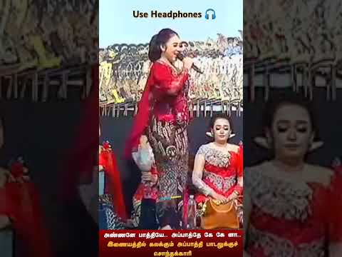 Annana Pathiya Song Lyrics Thailand Viral Song Must Watch Viralvideo Thailand Trending 