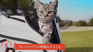 かわいい猫ゴルファーに悶絶必至！？自由すぎるゴルフNGマナー動画　「猫のためのゴルフマナー講座」