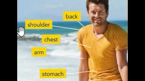 interchange intro  unit 12 back, shoulder, chest, arm, and stomach