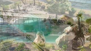 Beachpool - Bring Den Strand In Deinen Garten