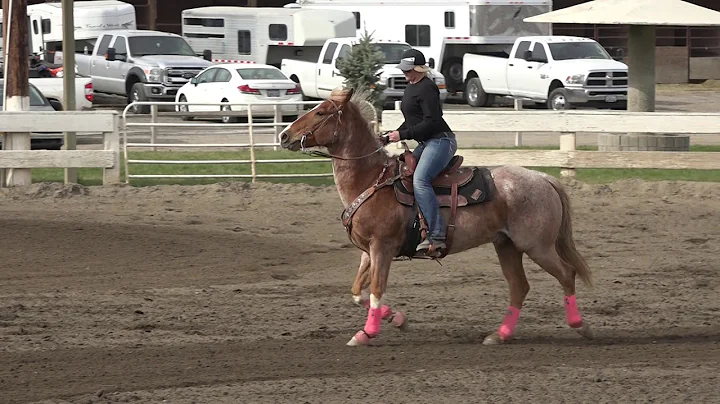 Ashley Jeffries and Tank 37.011 Kennewick 3-31-18