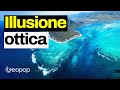 "Cascata" sottomarina di Mauritius: esiste davvero?
