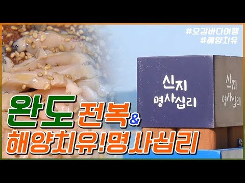 다시마 풀장? 피부에 좋다고? 해양치유하러 가자!!  #전복 #해양치유 #아토피 극복 [어영차바다야]