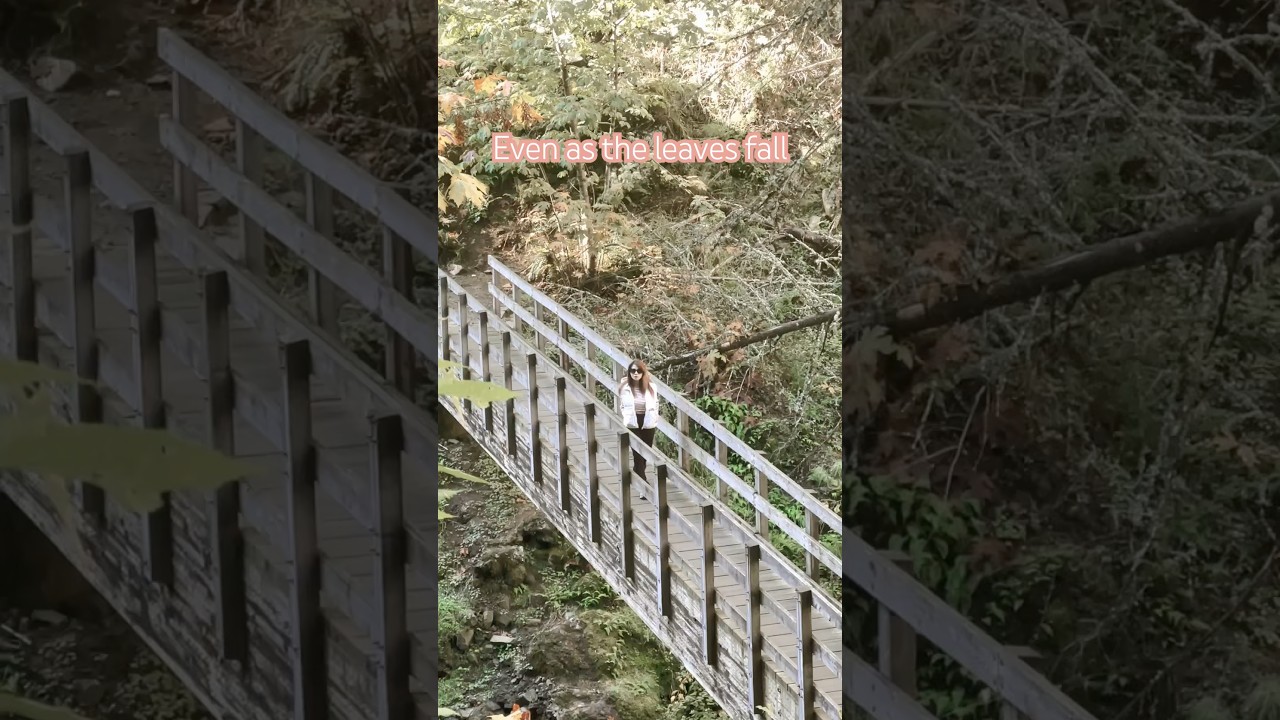 Falling Leaves, Rising Strength