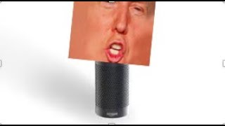 Amazon echo: Donald Trump Version