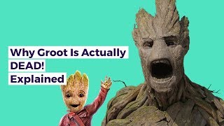 Groot Is Actaully Dead EXPLAINED!