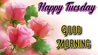 Happy Tuesday, Good Morning Wishes and Quotes, Whats app status video 🌹💐🌺