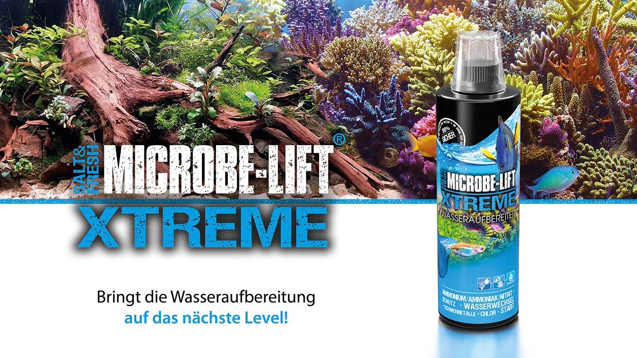 Wasseraufbereitung 2.0 für dein Aquarium - 𝗠𝗜𝗖𝗥𝗢𝗕𝗘-𝗟𝗜𝗙𝗧 𝗫𝘁𝗿𝗲𝗺𝗲 𝗪𝗮𝘀𝘀𝗲𝗿𝗮𝘂𝗳𝗯𝗲𝗿𝗲𝗶𝘁𝗲𝗿 - erklärt.