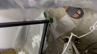 TestingVid MTF101K S/N 5415600000v44302100451