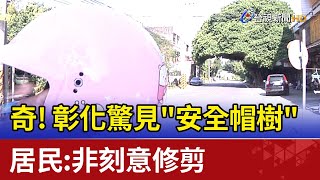 奇!彰化驚見安全帽樹居民:非刻意修剪