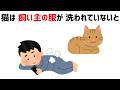 【9割が知らない】猫の不思議な行動の雑学 #雑学 #猫 #豆知識