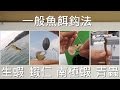 釣魚新手教學 - 一般魚餌鈎法 (生蝦、蝦仁、南極蝦、青蟲)