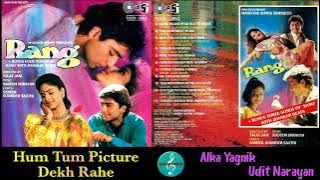 Hum Tum Picture Dekh Rahe/Udit Narayan & Alka Yagnik/Rang(1993)/Sweet Romantic song/Original CD Rip