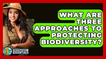What Are Three Approaches To Protecting Biodiversity? - Ecosystem Essentials