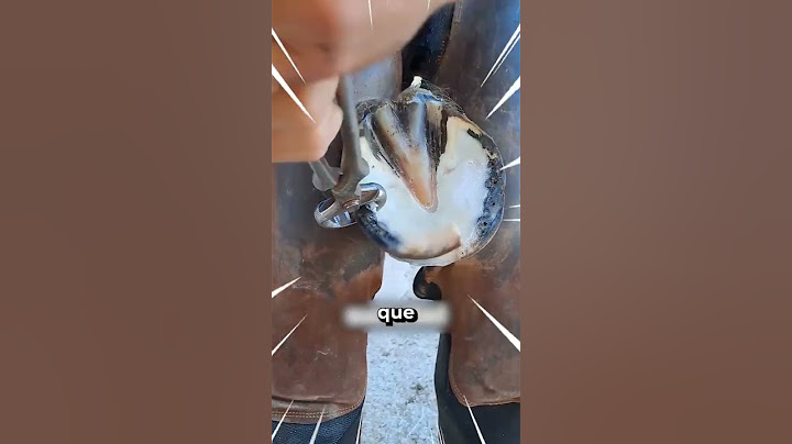 Restauración Satisfactoria de Herraduras 🥺 #animales #animals #curiosidades #satisfaction