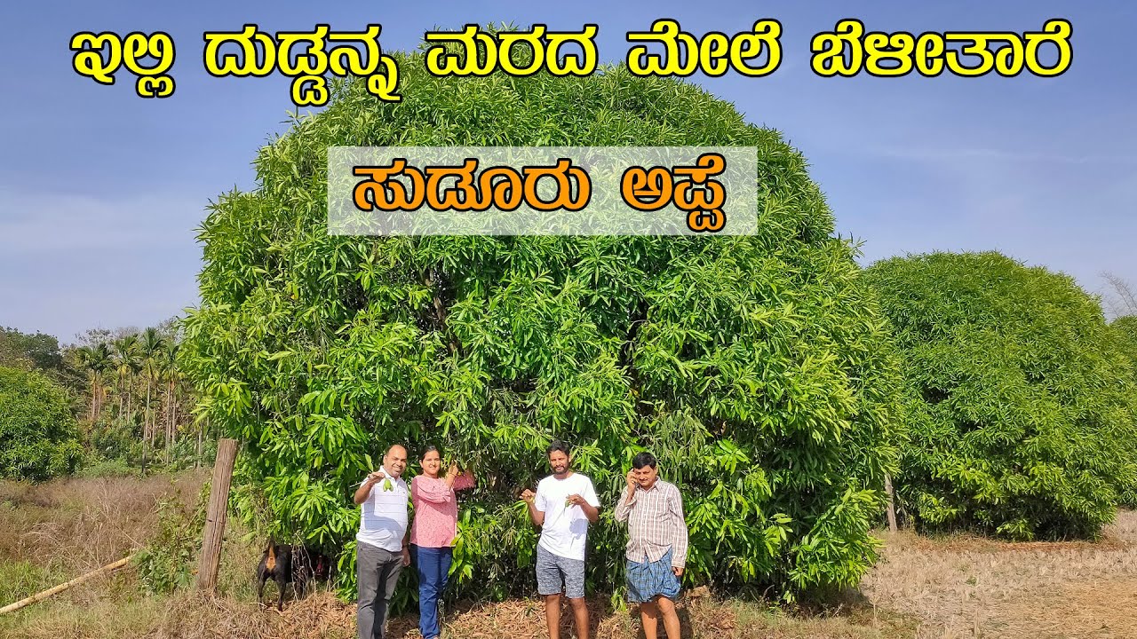 ಅಪ್ಪೆಮಿಡಿಯಿಂದ ಕೋಟಿ ಕೋಟಿ ಸಂಪಾದನೆ | Sudoor Appemidi | More than 50 Lakh Midi's in a year