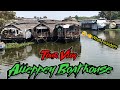 Alleppey boat house and kochin marine driving vlog  tour vlog  solliyachila kelambu