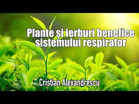 Video: Cum sunt plantele benefice pentru oameni?