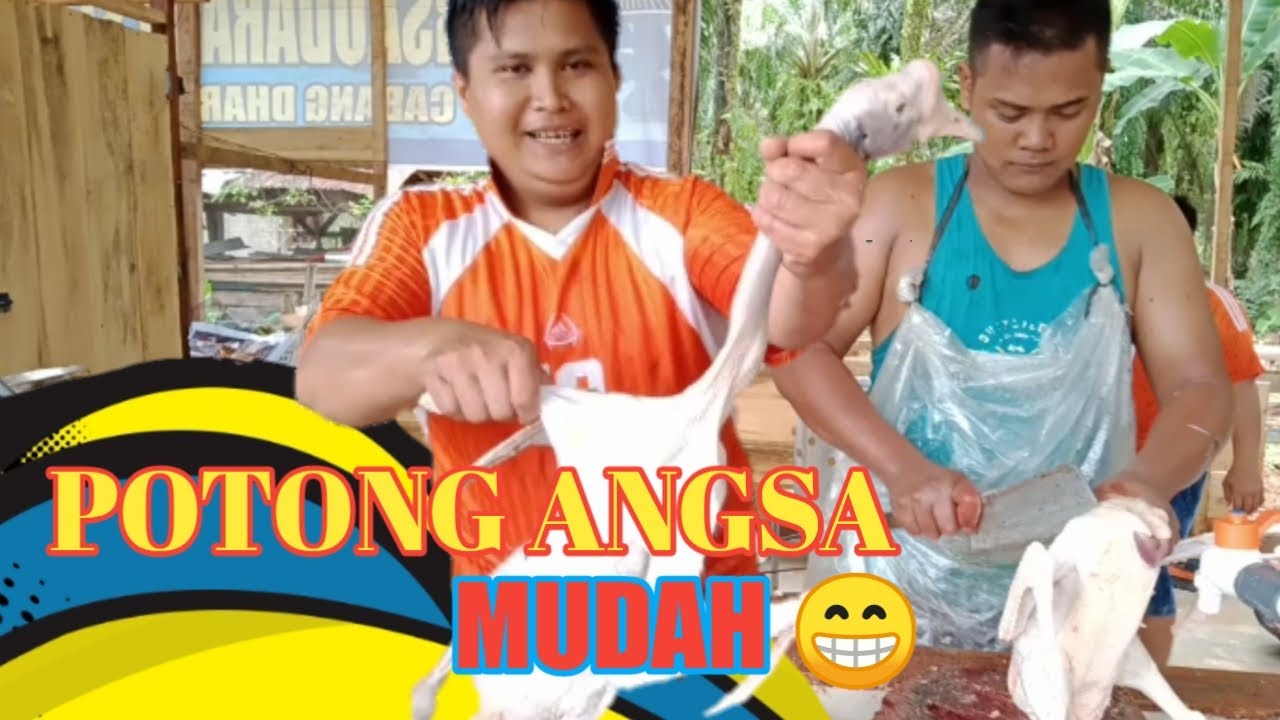 CARA MUDAH POTONG ANGSA ATAU SOANG UNTUK KENDURI - YouTube