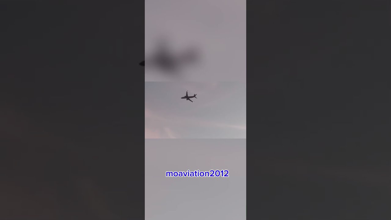 Southwest VS Volaris 