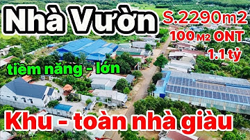 Cực Sáng❤️Nhà vườn - vị trí đẹp kinh doanh thuận lợi - tiện ích 100% - đất bung hậu  - giá siêu rẻ 
