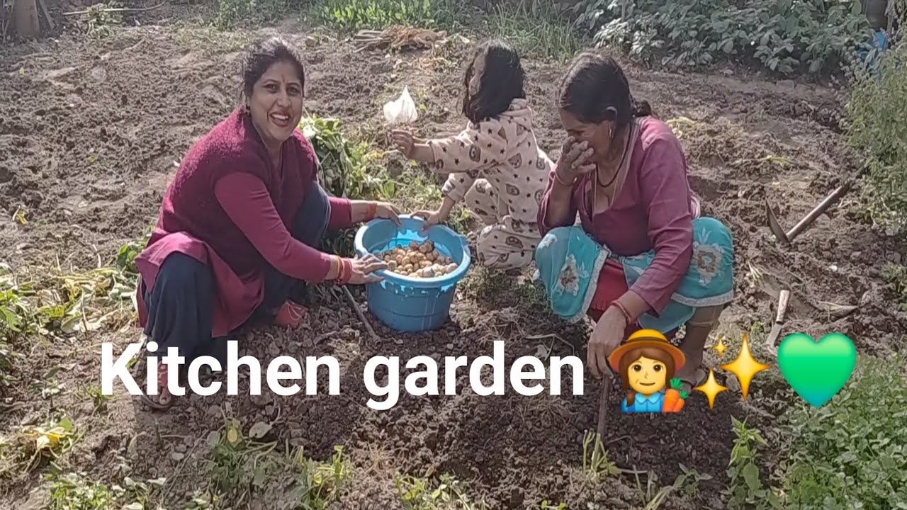 Kitchen garden👩‍🌾✨️💚 || किचन गार्डन 👩‍🌾✨️💚