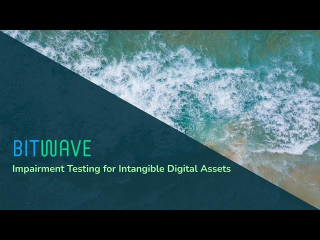 Intangible Digital Asset Impairment Demo | Bitwave