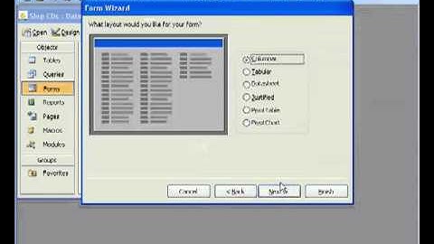 lecture 17 Creating a Form from a Query in Access