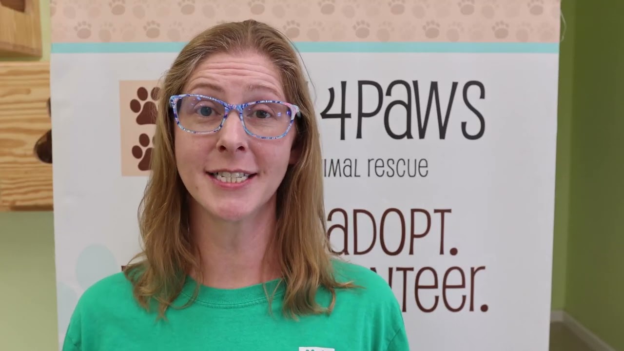 Pawleys Island Animal Rescue All4Paws Animal Rescue YouTube