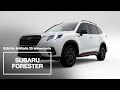 Subaru | Así es el nuevo Forester de Edición Limitada por su 25 aniversario