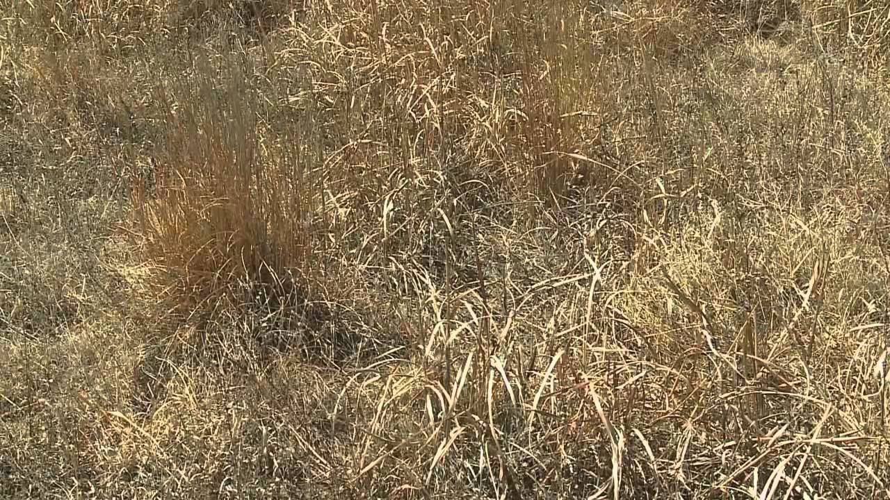 The Silver Lining - 25 Years of the Conservation Reserve Program