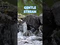 Gentle Stream Over Rocks 🌿 Relaxing Water Sounds #shorts