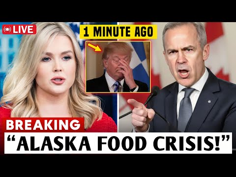 1 MIN AGO Trump S TARIFF THREATS Expose Alaska S Food Crisis Here S How Canada FLIPPED The Script  1 MIN AGO Trump S TARIFF THREATS Expose Alaska S Food Crisis Here S How Canada FLIPPED The Script