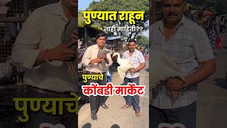 🔴 पुण्याचे कोंबडी मार्केट swargiya indira gandhi kombadi bazar pune