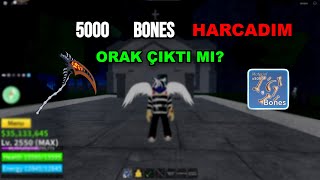 5000 KEMİK HARCARSAK NOLUR? | ROBLOX BLOX FRUİT